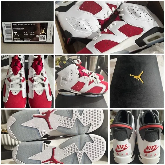 Air Jordan 6 Retro Carmines - Picture 2 of 10